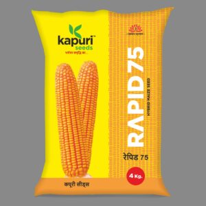 Rapid 75