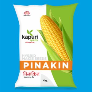 Pinakin