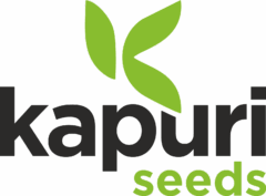 Kapuri Seeds
